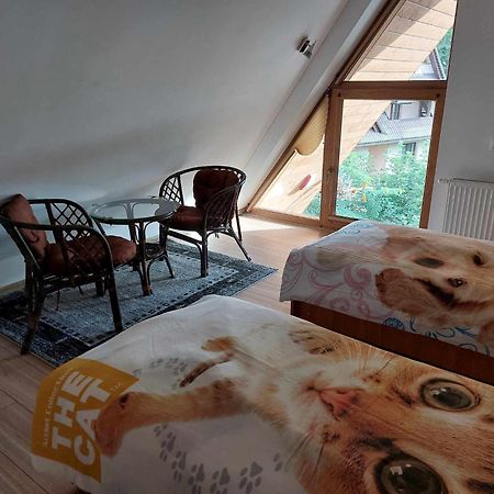 Apartamenty Cede ซาโกปาเน ภายนอก รูปภาพ